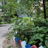 Гостевой дом Истра, фото гостя