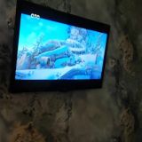 Гостиница Villa LUI-JO, фото гостя