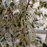 Гостиница Castro, фото гостя