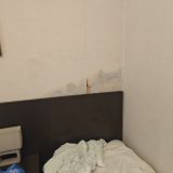 Промокшая плесневелая стена.
