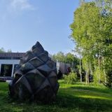 Экопарк Поляны, фото гостя