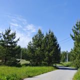 Экопарк Поляны, фото гостя