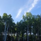 Экопарк Поляны, фото гостя