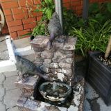 Гостиница Славянская, фото гостя