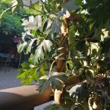 Гостиница Славянская, фото гостя