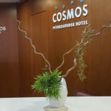 Отель Cosmos Petrozavodsk, фото гостя