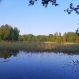 База отдыха Ряйсяля, фото гостя