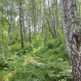 База отдыха Апартель эко-парк 3*, фото гостя