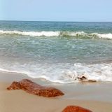 Светлогорск, фото отдыхающего в июне