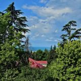 Отель Амбассадор, фото гостя