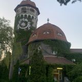 Светлогорск, фото отдыхающего в июне