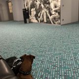 Маринс Парк Отель Ростов, фото гостя