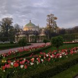 Пушкин, фото отдыхающего в июне