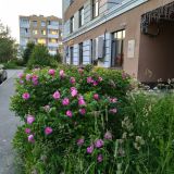 Гостиница Милена, фото гостя