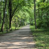 Республика Северная Осетия-Алания, фото отдыхающего в июне