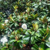 Гостевой дом София, фото гостя