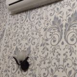 Мини-отель Гармония, фото гостя