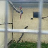 Отель Ист Ривер, фото гостя