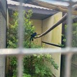 Отель Ист Ривер, фото гостя