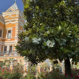 Сочи, фото отдыхающего в июне