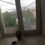 Гостевой дом Мама я дома / Невский Проспект, фото гостя