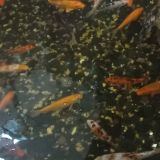 Маринс Парк Отель Новосибирск, фото гостя