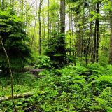 База отдыха Усадьба Лебяжье, фото гостя