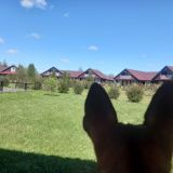 Гостиница Поместье Загосье, фото гостя