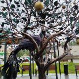 Выборг, фото отдыхающего в июне