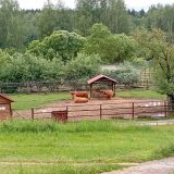 Обнинск, фото отдыхающего в июне