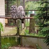 Обнинск, фото отдыхающего в июне