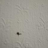 Мини-отель 18 LINE, фото гостя