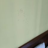 Гостевой дом Оазис на Ленина, фото гостя