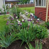 Гостевой дом Волшебный сад, фото гостя