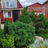 Гостевой дом Волшебный сад, фото гостя