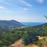 Орджоникидзе, фото отдыхающего в июне