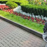 Геленджик, фото отдыхающего в июне
