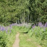 Экопарк Поляны, фото гостя