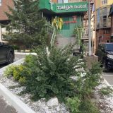 Taiga hotel, фото гостя