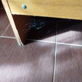 Гостевой дом ПарадиZ, фото гостя