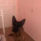 Арт-отель Вернисаж, фото гостя