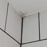 Мини-отель Eco Hotel, фото гостя