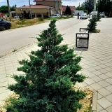 Кучугуры, фото отдыхающего в июне