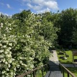 Отель Усадьба, фото гостя