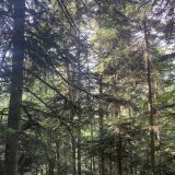 Гостевой дом Пилигрим, фото гостя