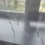 Маринс Парк Отель Нижний Новгород, фото гостя