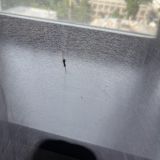 Маринс Парк Отель Нижний Новгород, фото гостя