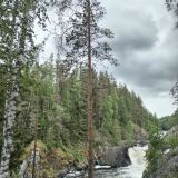 Дом отдыха Sainiemi в черте Петрозаводска, фото гостя