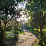 Гостиница Грейс Арли, фото гостя