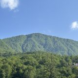 Красная Поляна, фото отдыхающего в июне